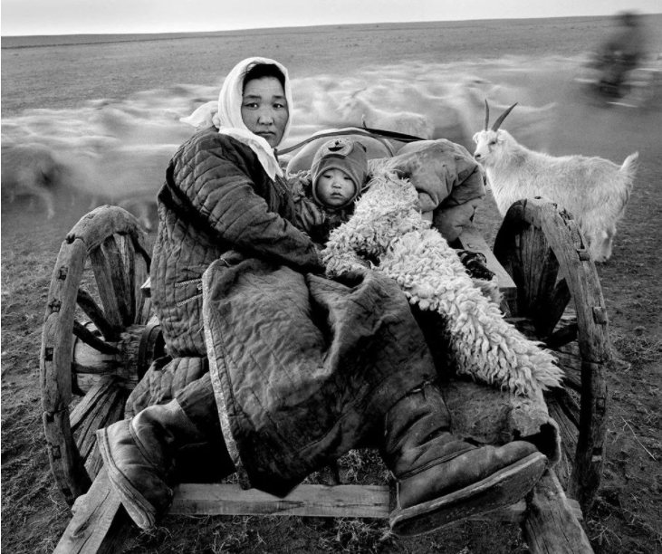 《乌珠穆沁蒙古人》系列